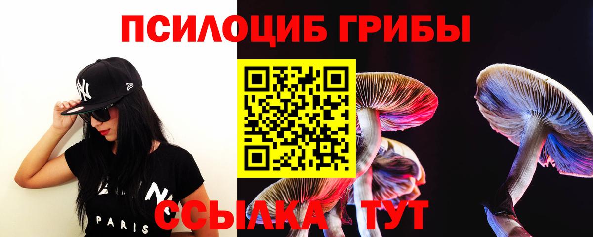 Галлюциногенные грибы Cubensis Сальск